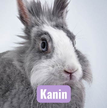 Skaermbillede 2026 01 29 Kl 10 18 14 Kopi Skaermbillede 2026 01 29 Kl 10 18 14 Kopi